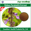 Extracto natural de Forskohlii del Coleus Forskolin